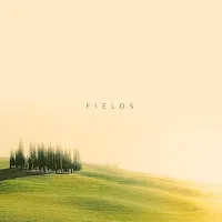 Simon Wester — Fields — обложка